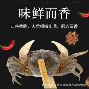 ���������S��з �lؔз  ��з ��������з ����С�з220�����l