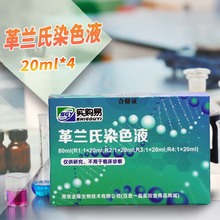 革兰氏染色液试剂盒20ml*4支 4*2支10ml杭州微生物北京陆桥10ml*4