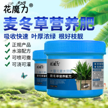 �����݌��àI�B�����Ե��Բ�ƺ���������辰ͥԺ�ݵ��ļ��B�o�÷�