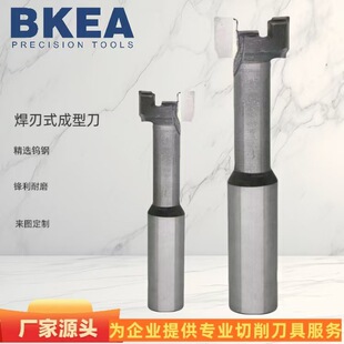 ���ƺ���ʽ���͵� ����ʯ���ж��Ƶ��� �����q�� ģ���q�����S