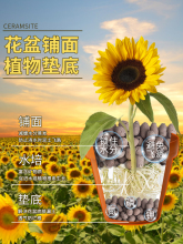 �����|�����Զ���I�B���B�������~��ˮ��͸�������ɫ���ʯ