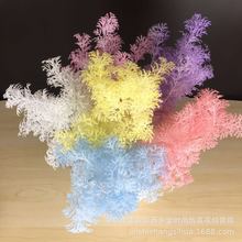 ����5�滨���� ����������������c�Y��c��Y�õ���b����m����