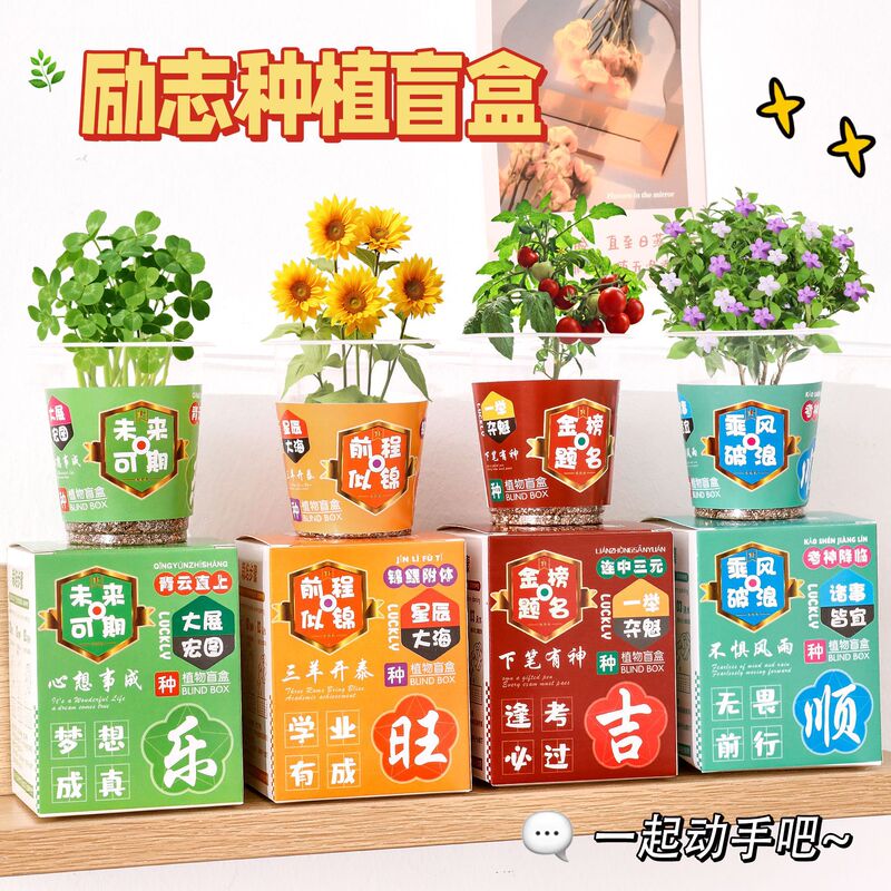 Inspirational Text Planting Potted Plants Blind Box Primary School Students Creative Small Gifts Children's Desktop Plants Green Plant Ornaments