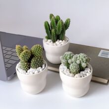 С�Gֲ�҃������򻨻����������ƶ�����B���控��M��С����ֲ��