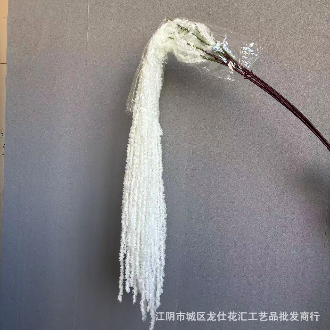 양모 걸이 쌀