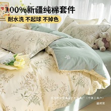 �S��2025�¿����Ʒ�ļ��׼���100���α����ļ���������