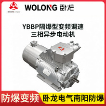 卧龙电气YBBP-315L1-2 160kW变频电机南阳防爆等级IIBT4IICT4可选