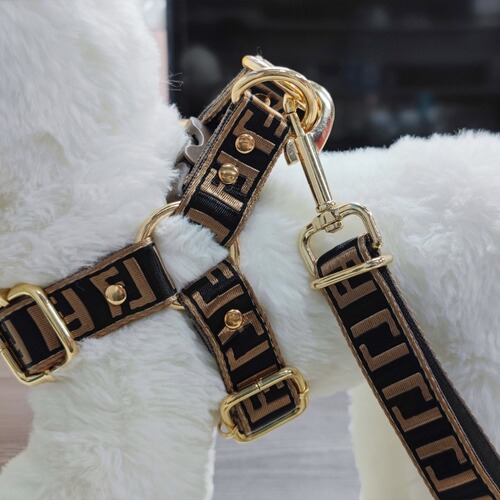 Cross-border best-selling brand trendy brand GGFF dog bulldog corgi dog shiba inu dog leash thick dog rope dog chain
