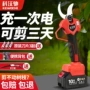 大功率无线源头电动粗枝剪