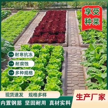 ���·��ʯ�������WУ�ˈ@��@����ͥԺ�˵ز˜ϰ徰�^��Ʒ