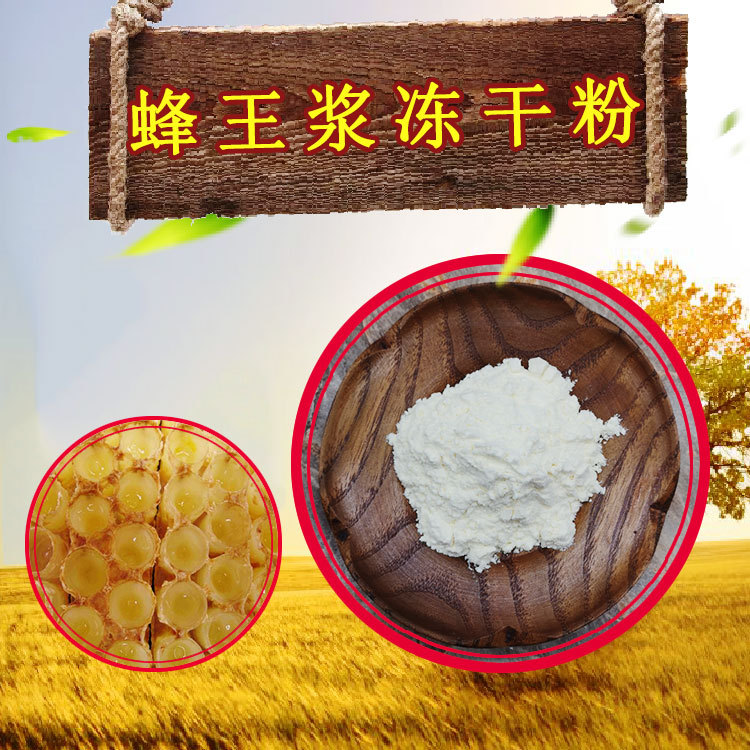 蜂王浆冻干粉葵烯酸6% 藤迈供应蜂王浆提取物500g/袋蜂王浆冻干粉