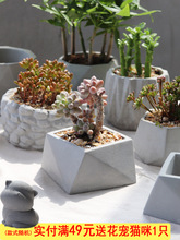 ˮ�໨�����ins���W�L����A�η���߅���sС̖����������