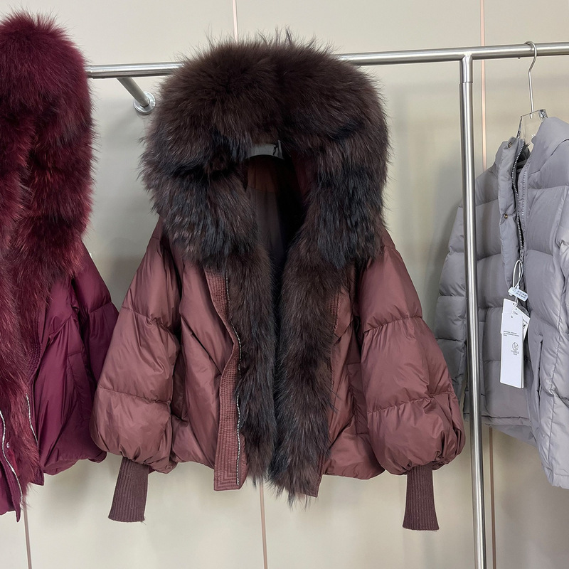 Women's New Winter Style Fox Fur Collar Hooded down Jacket Women's Mid-Length Thickened Warm Knitted Sleeve Jacket for Women Women's New Winter Style Fox Fur Collar Hooded down Jacket Women's Mid-Length Thickened Warm Knitted Sleeve Jacket for Women