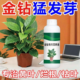 ��荠I�BҺ���÷��ϼ����҃��B���G荼t荴��~�G�������Ԉ@ˇ����