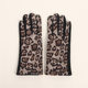 European and American New Fashion Leopard Print Warm Gloves Women's Velvet Fashion fleece-lined Thickened Outdoor Riding Design Gloves