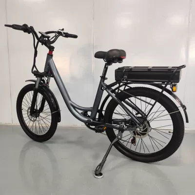 Mountain Bike, ROCES Auto Parts and Accessories