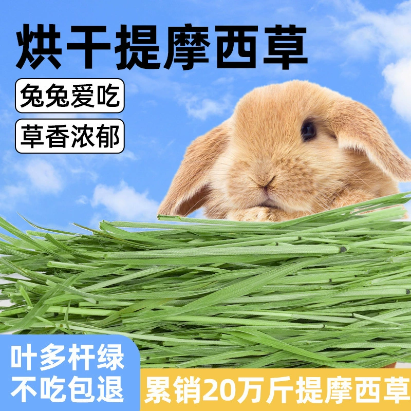 Сено Тимоти для кроликов, корм для кроликов, морских свинок и голландских кроликов, специальная пастушья трава Тимо, высушенная на солнце.