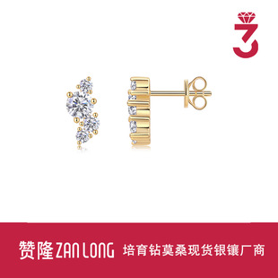 S925 Silver Inlaid Earrings for Women, New Style Earrings, Elegant Wedding Moissanite Gift Earrings, Source Ready for Delivery