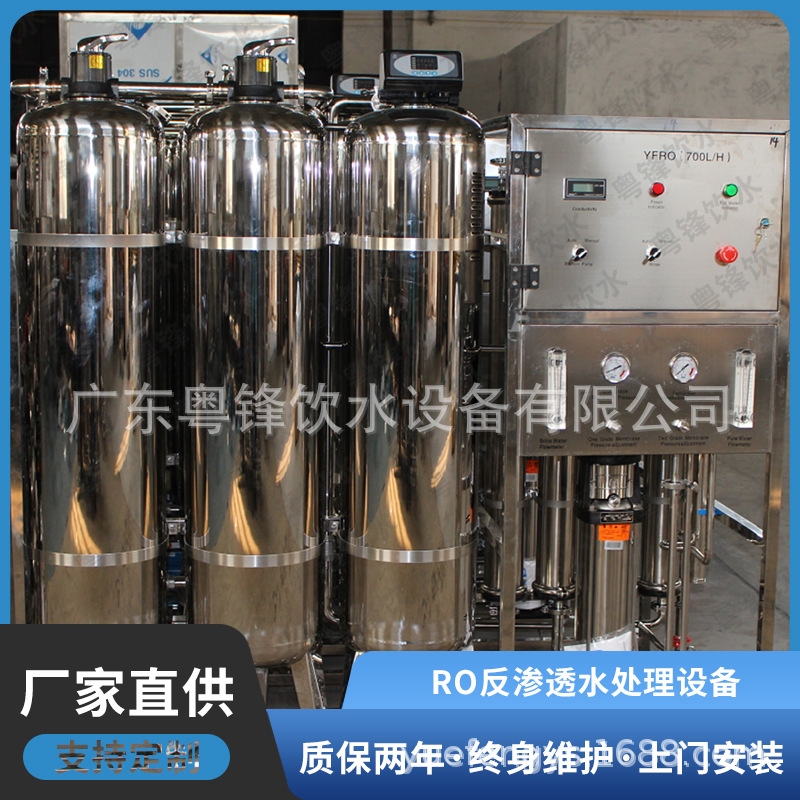RO反渗透整套水处理设备 自动纯净水设备 自动RO反渗透水处理