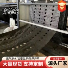 园艺防草布防老化农用抑草布果园黑色透气盖草布打孔切片防草布