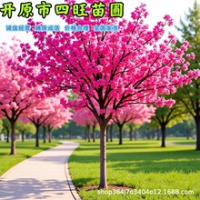 ���F���Ӻ�������t�~ħ������ ���x���� ���庣�Įa��