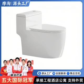 家用普通马桶抽水马桶大口径坐厕虹吸节水防臭静音无唇边坐便器