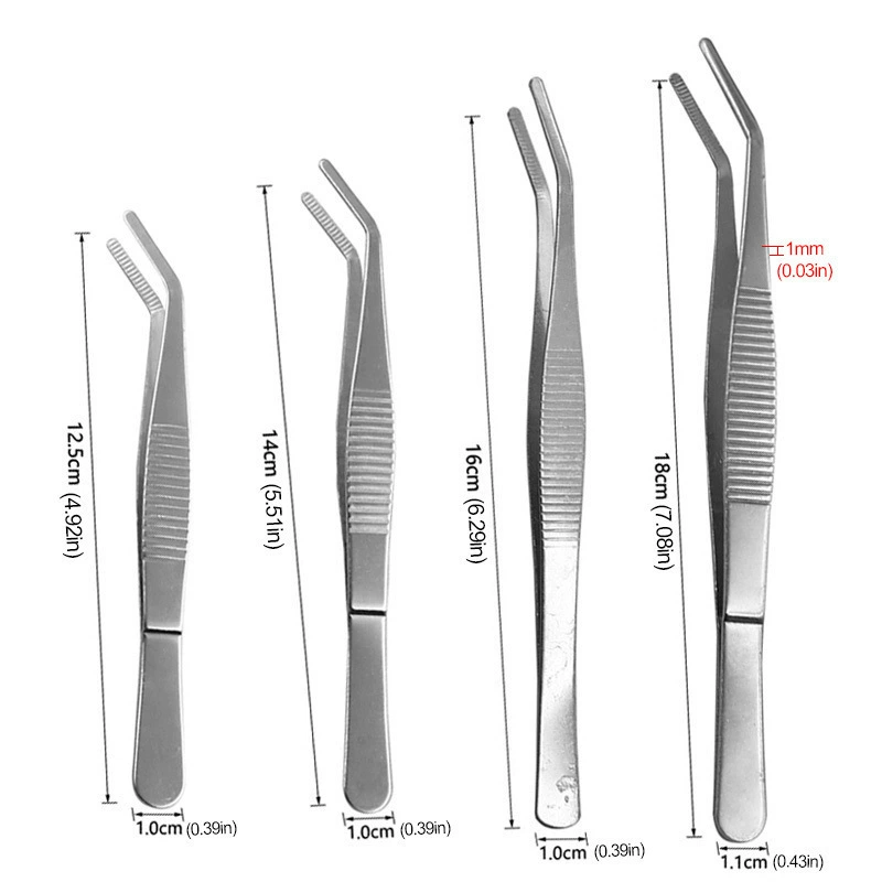 Stainless steel tweezers, thickened tweezers with round head, toothed tweezers, straight elbow clamp, garden landscape clamp