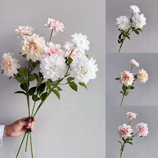 ���滨3�^���������޾ջ�c�쾰�zӰ���ղ��ú��s�L�zӰ�������l