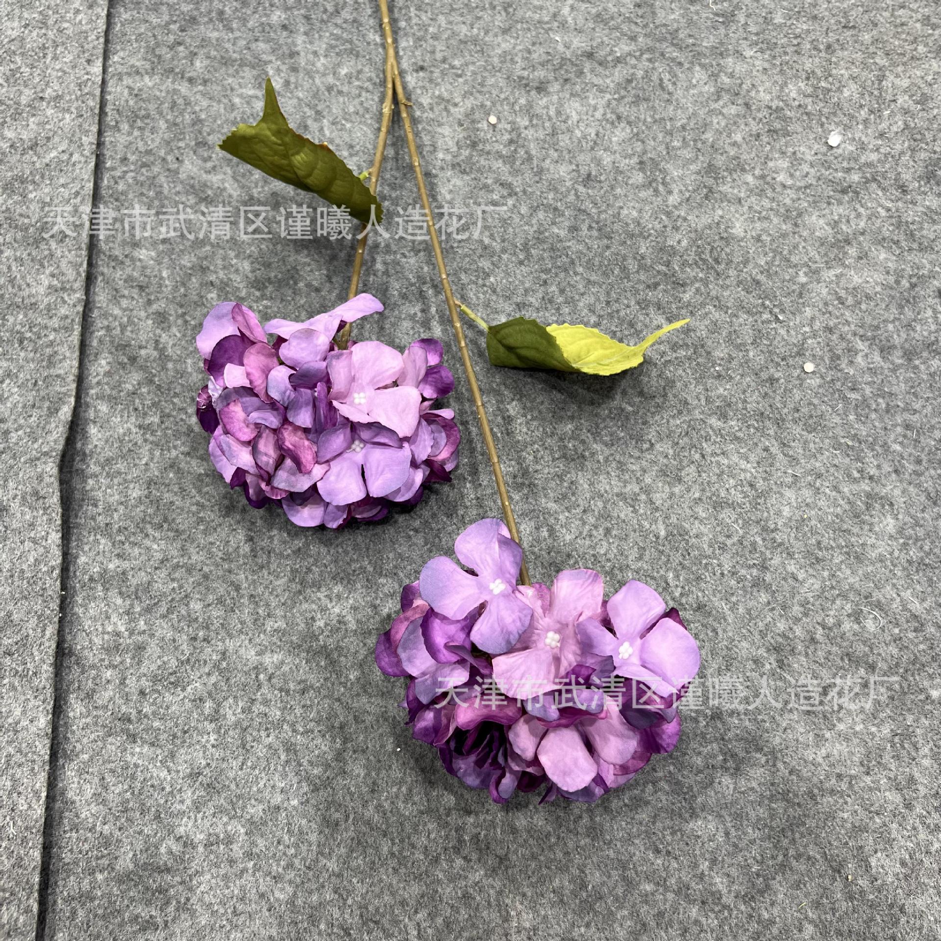 2022_08_27_09_49_IMG_6671