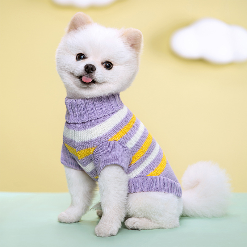 보라색 줄무늬