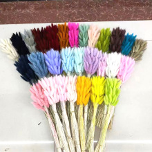 ��β�ݸɻ��������廨�b�diy�����������Դ�^�S�����lֲ��ins�L