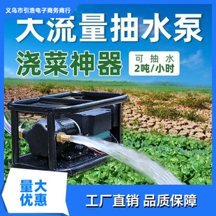 Rechargeable Water Pump with Extendable Tube, Agricultural Vegetable Irrigation Artifact, Large Flow Self-Priming Pump Watering Machine