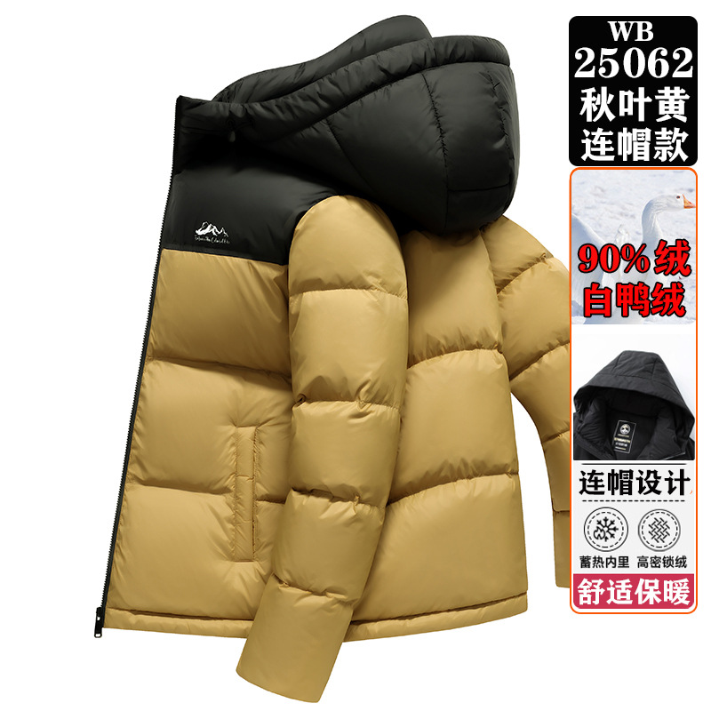 WB25062 가을 잎 노란색