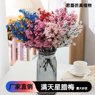 �羳����5��M�����D÷�������滨�b����ٻ��������������쾰