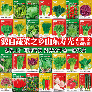 �S���ļ��߲˷N�����l��ȫ��ͥ�ˈ@�̨�����߲�ˮ���N��ˮ�����