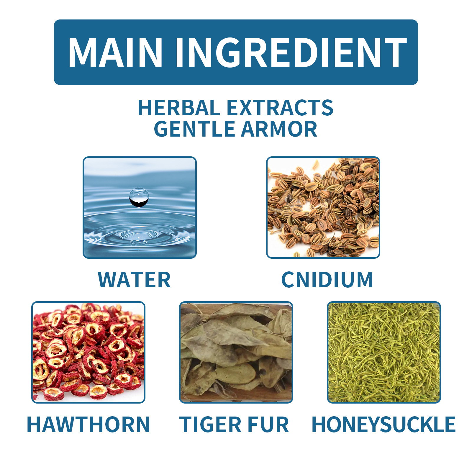 EELHOE smoothing essence soft thickening nail care liquid_voghion.com