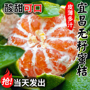 �˲��������rˮ��5�ﮔ���Fժ��Ƥ�۽۟o�ѽ�����������������]