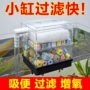 三合一壁挂式水循环净水龟缸