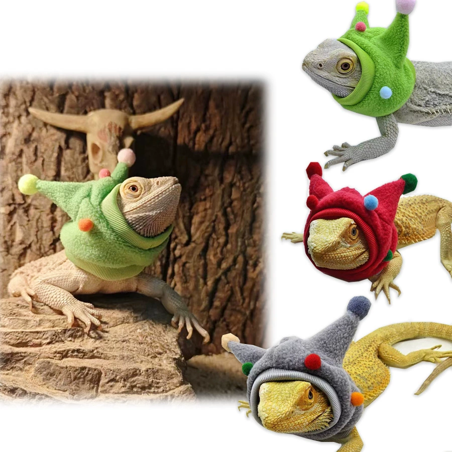 Шляпа-лizard, одежда для рептилий, костюм для прогулок на улице, забавный костюм-трансформер с рогами, шариком и шарфом для Хэллоуина