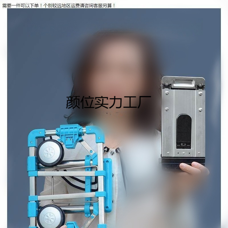 Foldable Portable Trolley Mini Shopping Trolley Household Cargo Trailer Moving Luggage Trolley