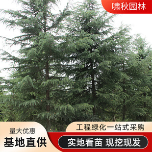 ѩ��С���е��c�Y�^�pɫ�K�G�hֲ���ļ��������Գ��Gѩ�ɘ��}�Q��