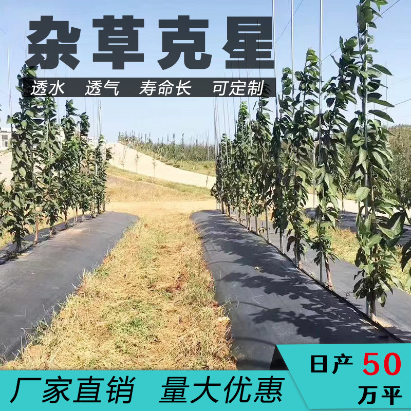 防草布スライス草刈布園芸地布果樹園雑草蓋草布地釘が長くない草は厚く切って老化を防ぐ|undefined