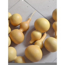 ��}̎����Ȼ��̖����J�W�����W�߾����Ӯ��WУ�õ��߰�Ƥ���J