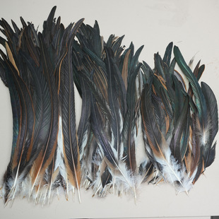 ���l��Ȼ�L�uβë25-45cm���uβ��ë��̨�b��b���diy��ë���