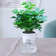 �d�ӻ��簲�������ԾGֲ�������򻨾G�}������lؔ����m�҃��ļ�