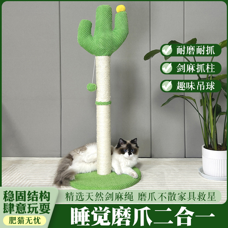 간단한 고양이 잡아 열★선인장 녹색