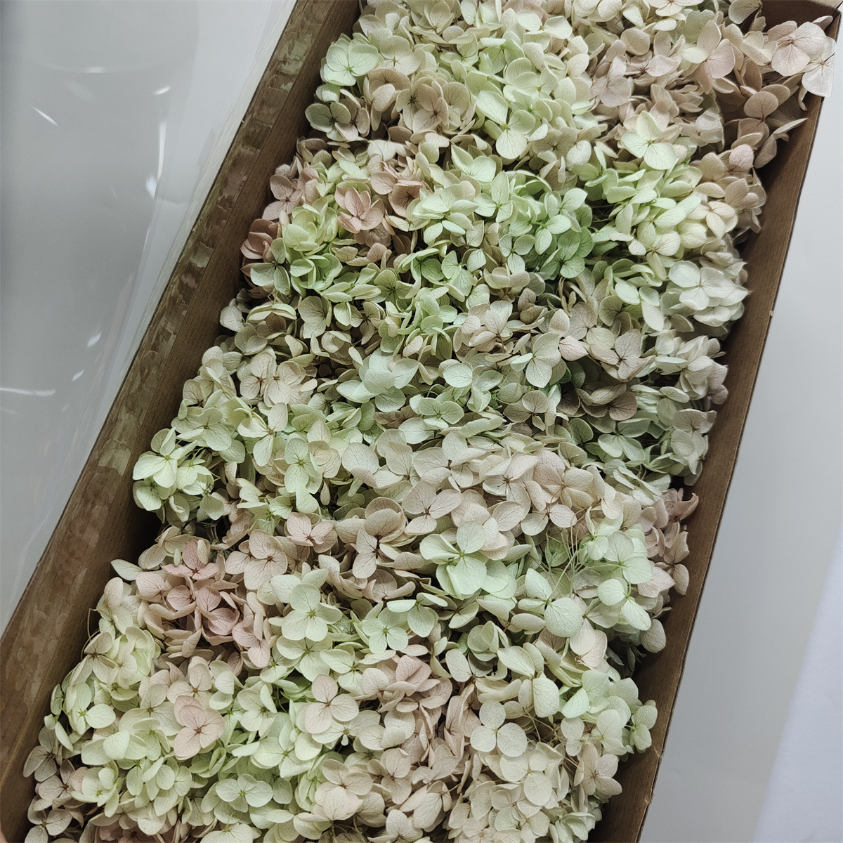 Flor eterna Hortensia Anna pequeña hoja flor seca flor real árbol de Navidad ventilador hecho a mano ramo DIY material paquete flor