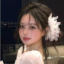�����L�����^h���ll�A��ɫ����߅�A���b�ļ�Ů���¿���滨