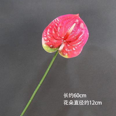 No. 5 Impresión 3D palma roja