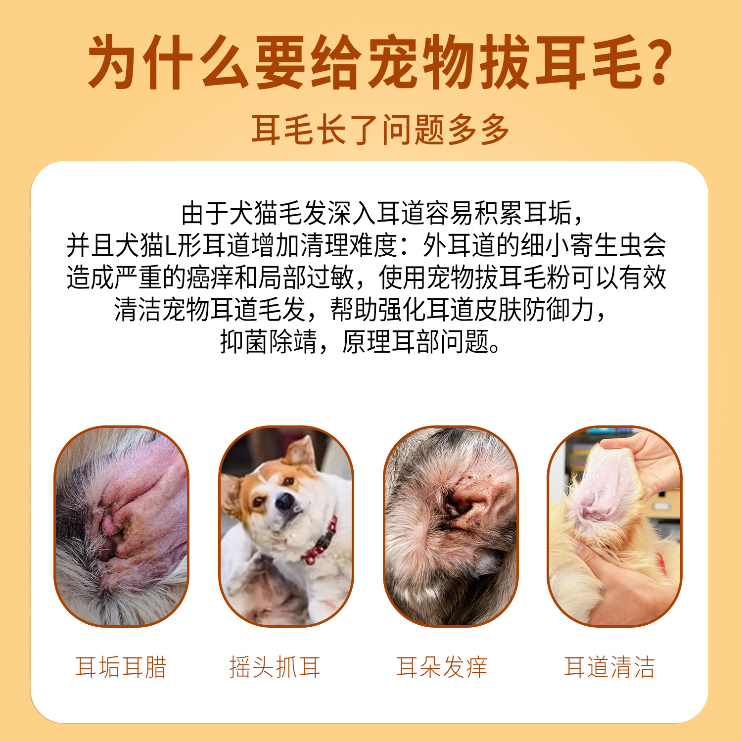 Polvo de extracción de pelo de oreja para perros, polvo de limpieza de orejas para mascotas, artefactos mágicos de eliminación de pelo de orejas, limpieza del canal auditivo para gatos, productos de cuidado al por mayor